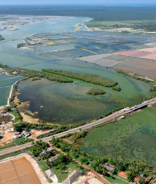 Palavi Island