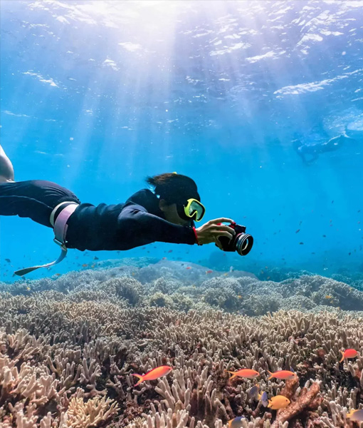 Snorkeling & Scuba Diving