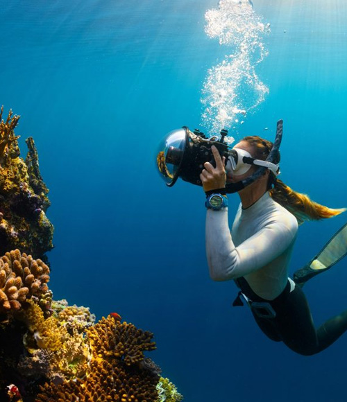 Scuba Diving