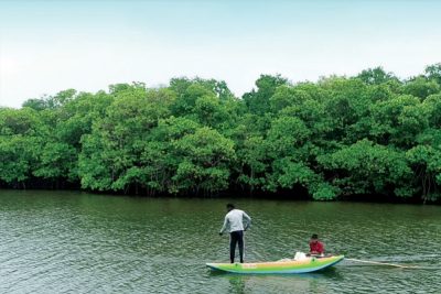 gangewadiya
